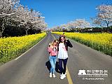 Tour a Corea Primavera