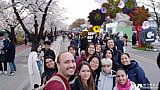 Tour a Corea Primavera 2019